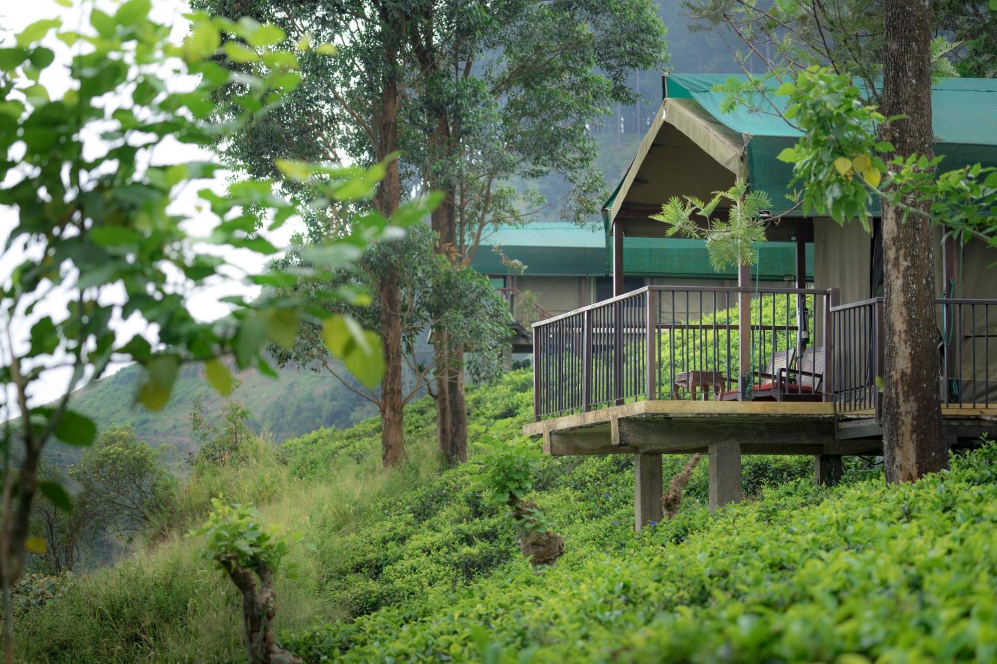 Madulkelle Tea And Eco Lodge Kandy Exterior foto