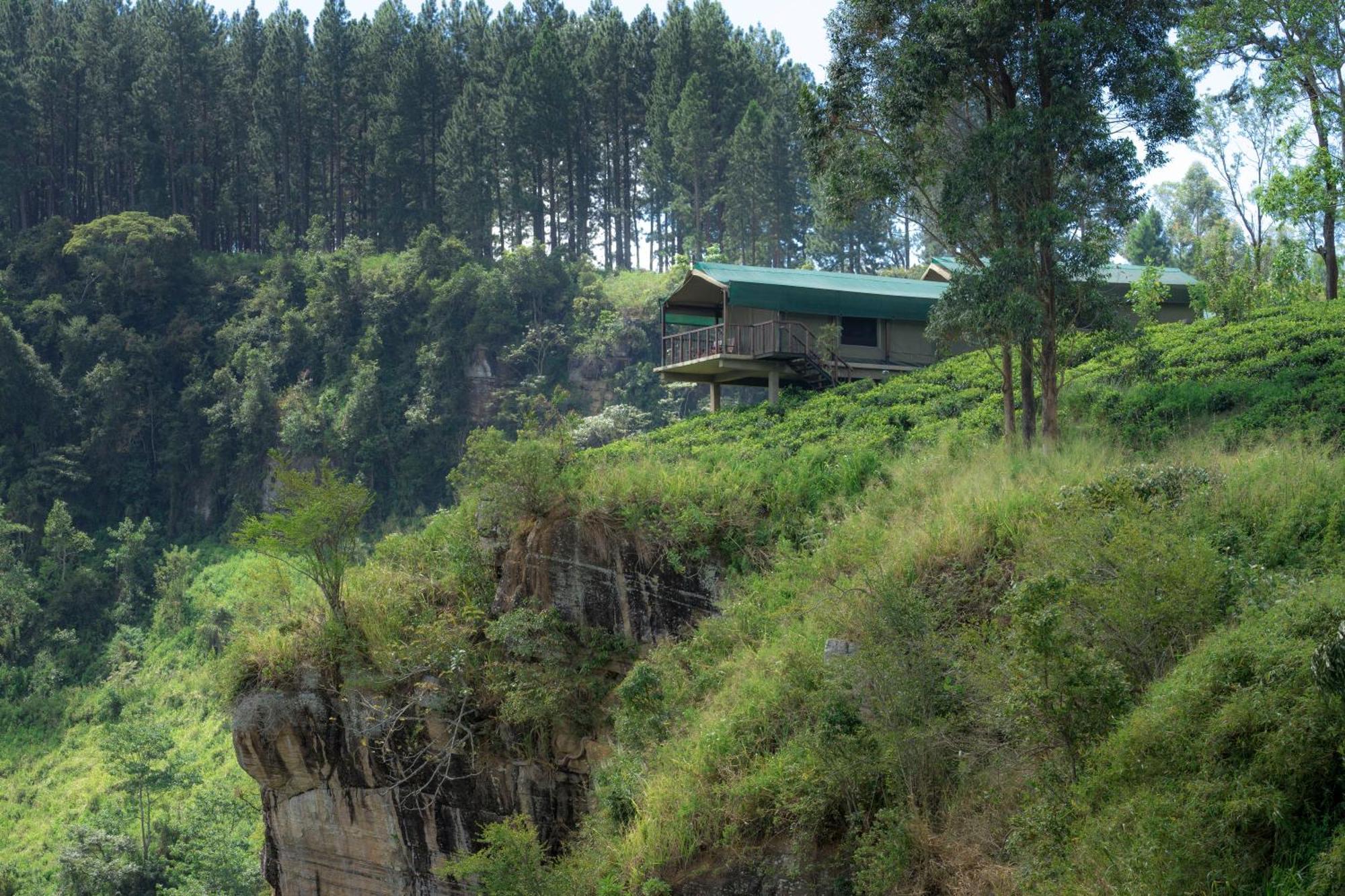 Madulkelle Tea And Eco Lodge Kandy Exterior foto