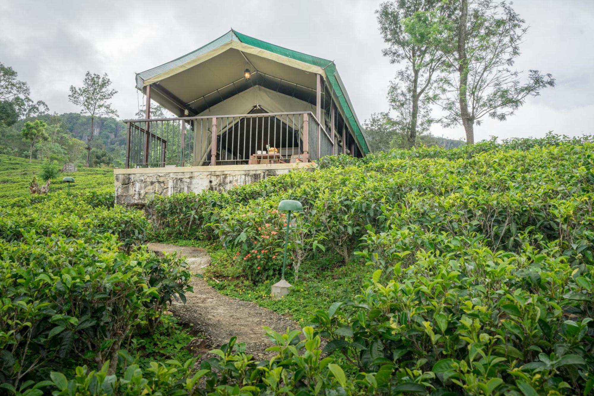 Madulkelle Tea And Eco Lodge Kandy Exterior foto