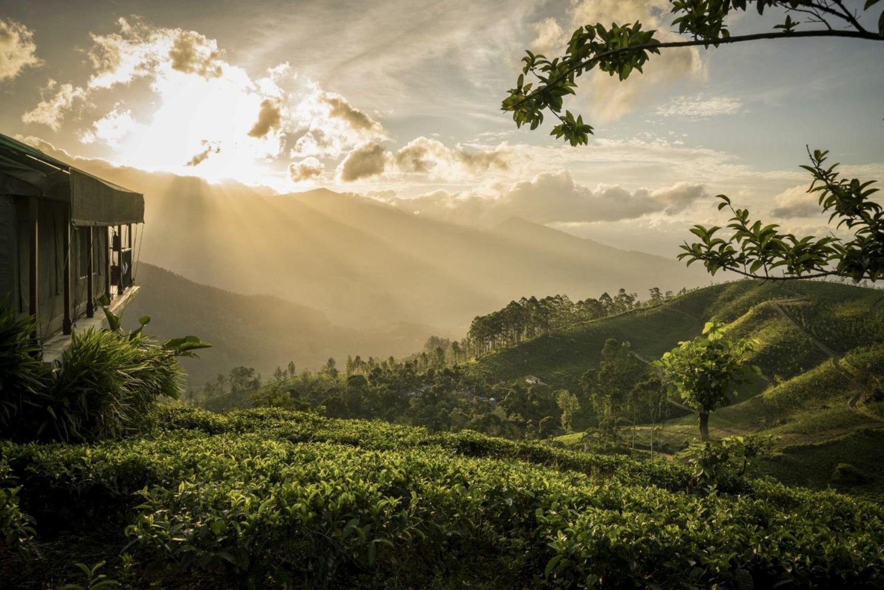 Madulkelle Tea And Eco Lodge Kandy Exterior foto