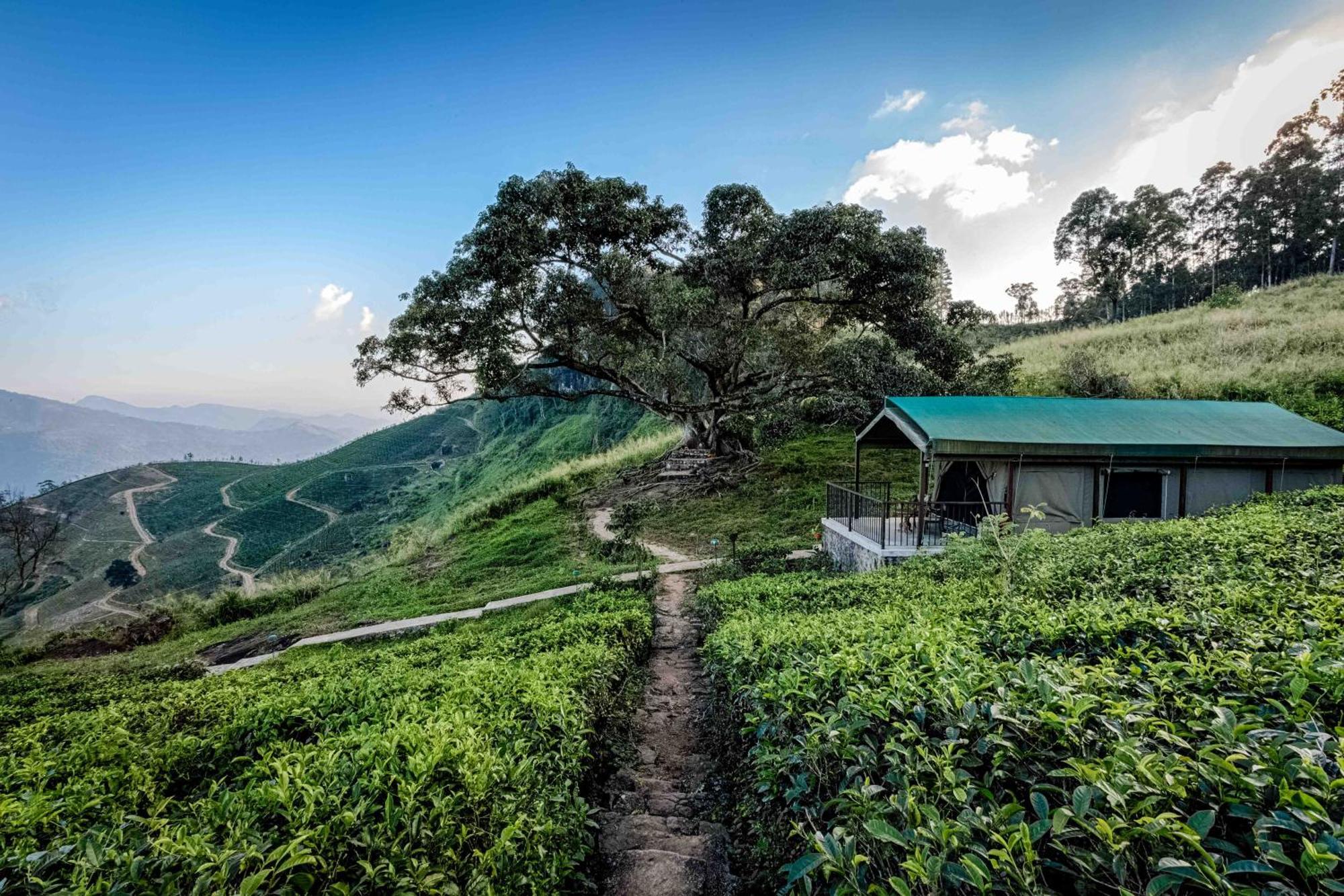 Madulkelle Tea And Eco Lodge Kandy Exterior foto