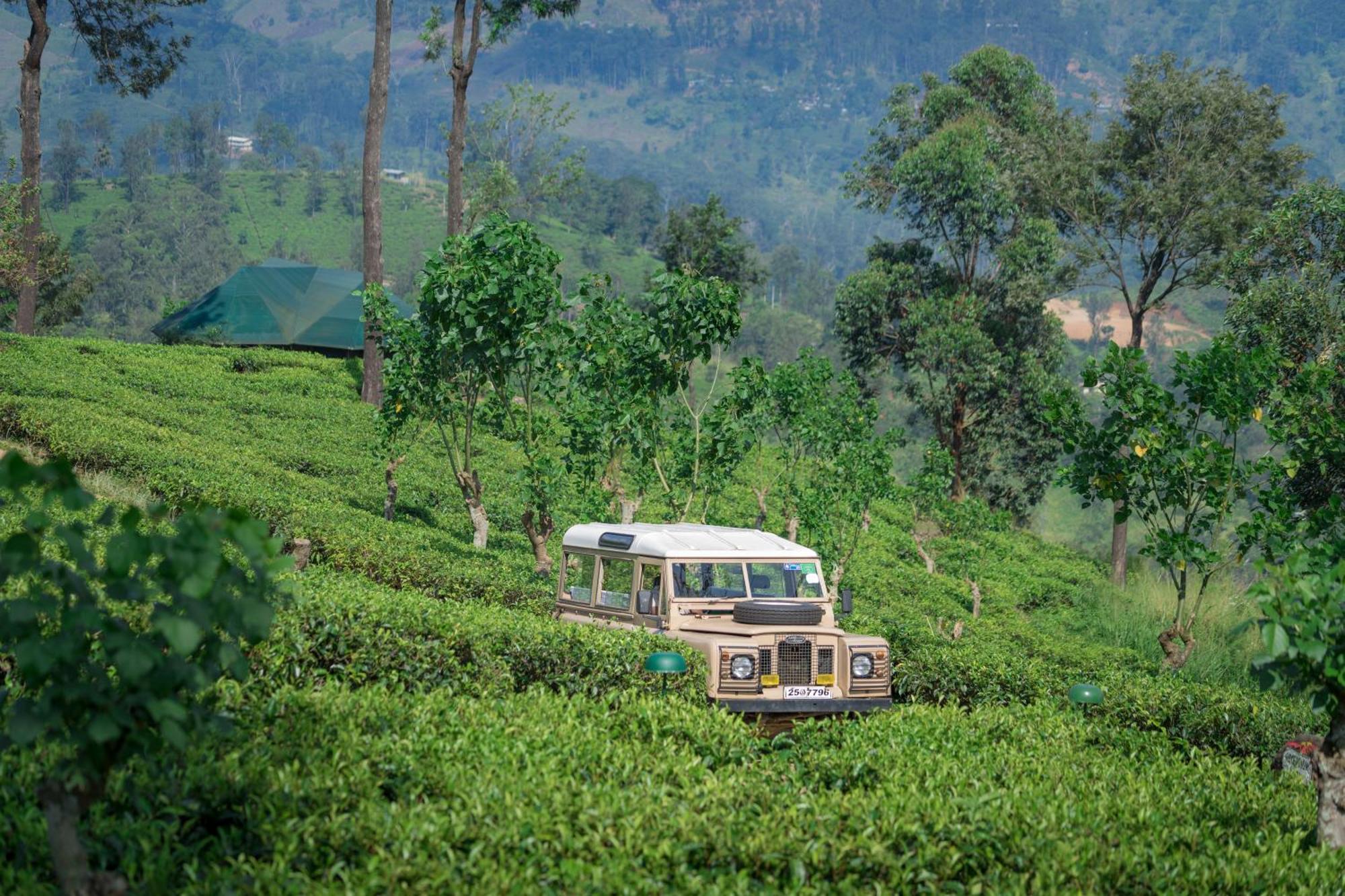 Madulkelle Tea And Eco Lodge Kandy Exterior foto